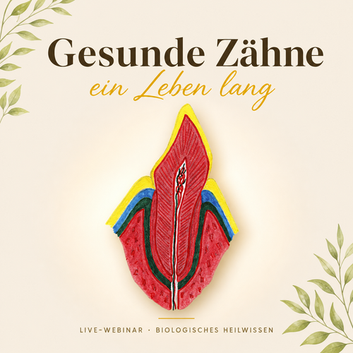 Gesunde Zähne – ein Leben lang | Aufzeichnung